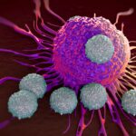 T-cells attacking cancer cell