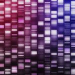 DNA strands