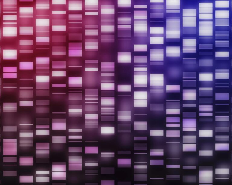 DNA strands