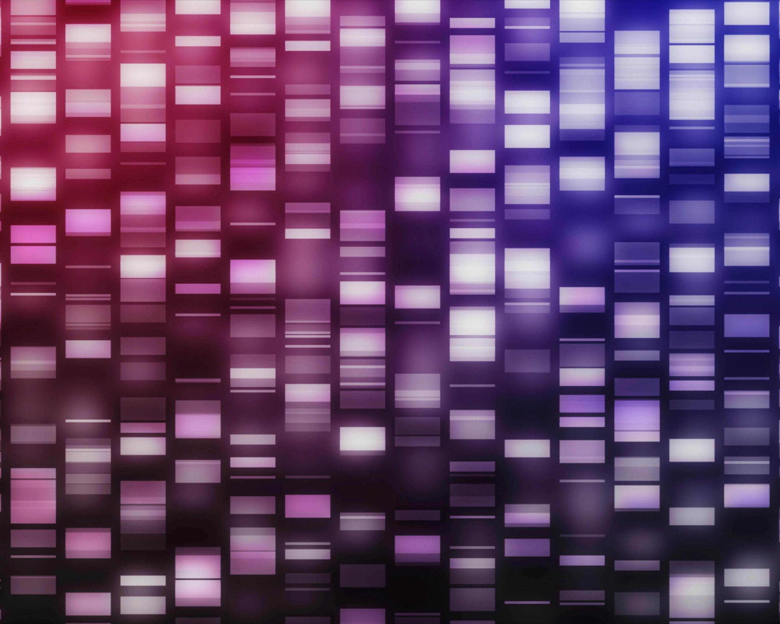 DNA strands