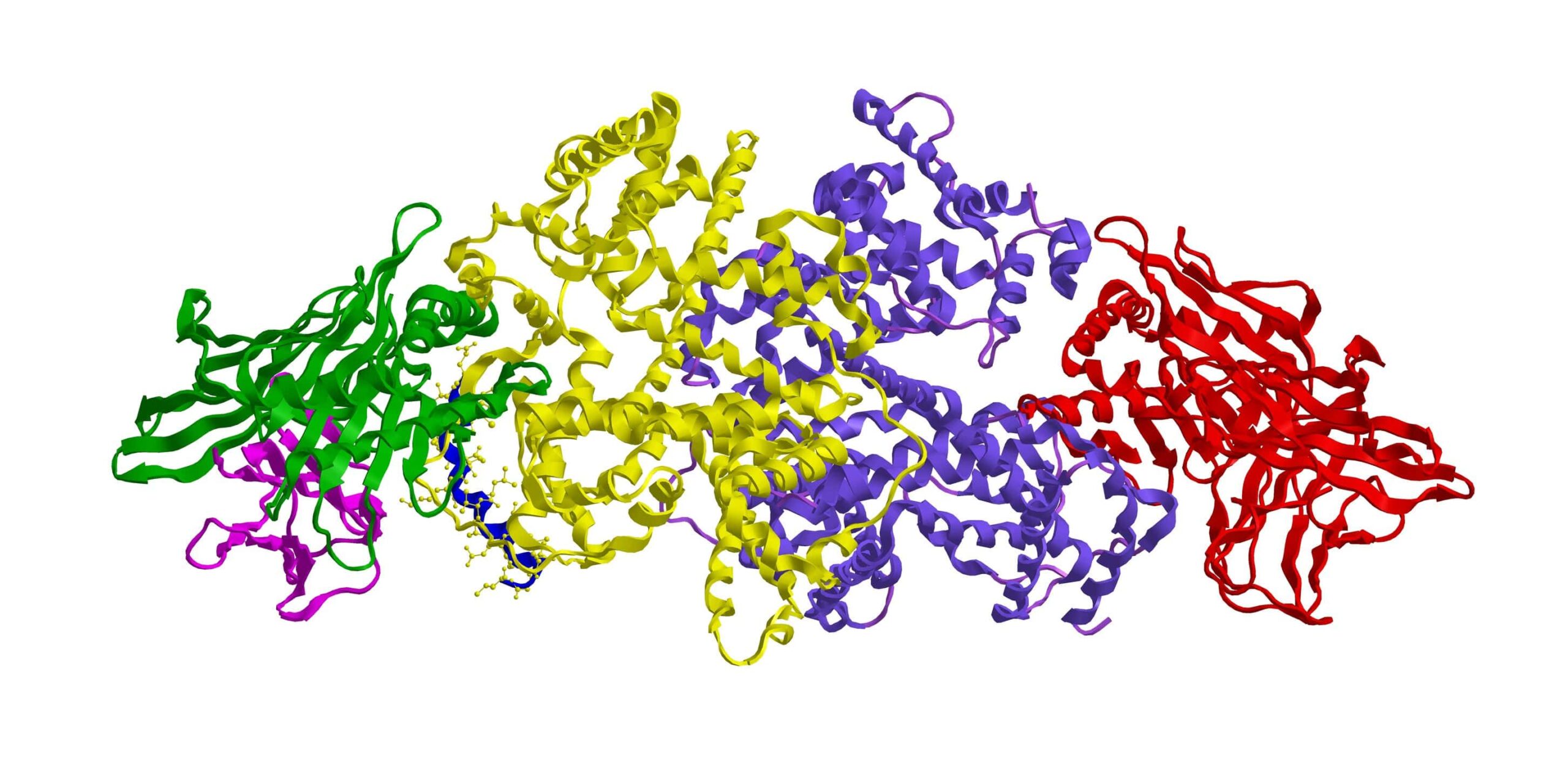 Molecular structure of human serum albumin