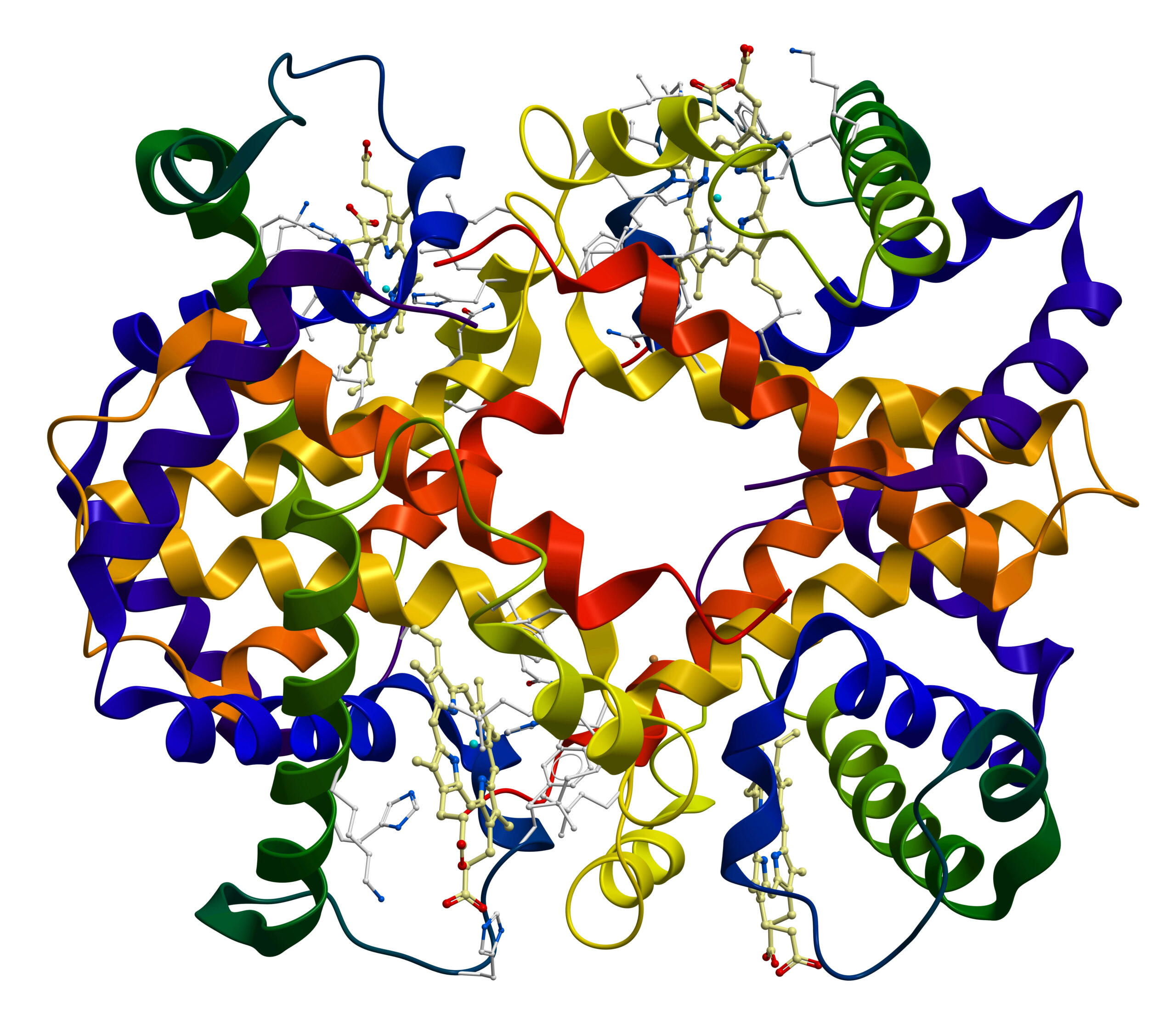 hemoglobin molecule on white background