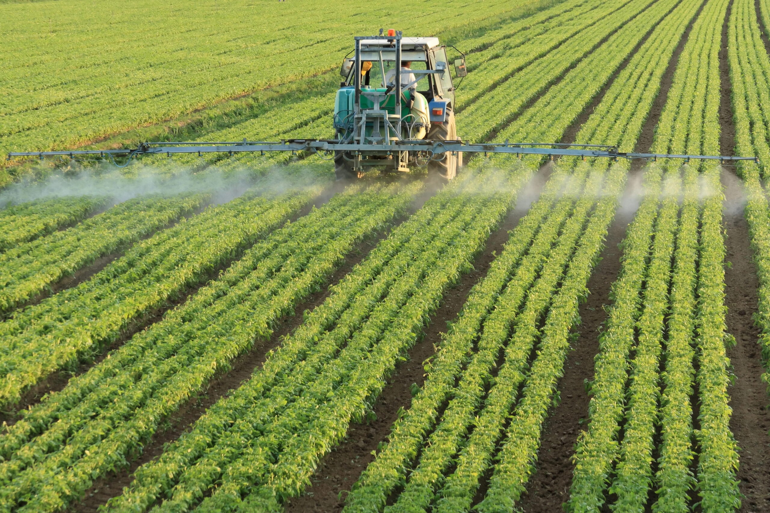 Tractor spraying pesticides over field