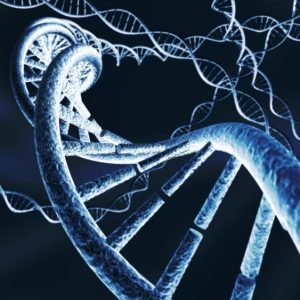 3D DNA illustration