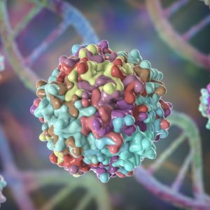 Adeno-associated-viruses-graphic-illlustration