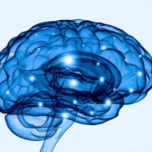 Blue-graphic-illustration-of-the-human-brain