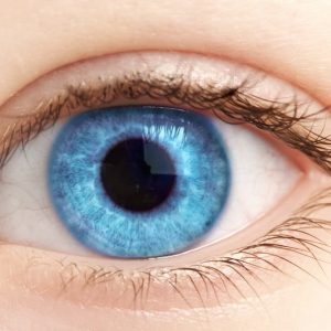 Close-up of bright blue eye