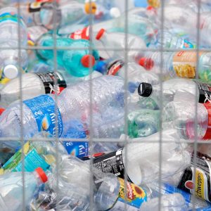 Collection of plastic bottles