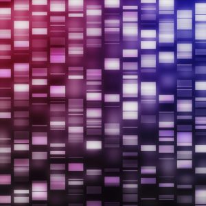 DNA strands