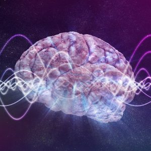 Digital illustration of human brain with brain waves