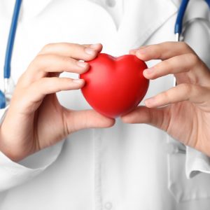 Doctor holding toy heart, close-up