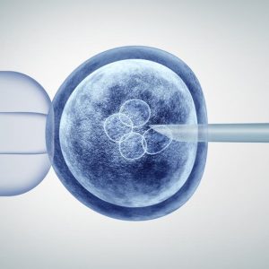 Genetic editing and gene research, in vitro, CRISPR