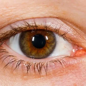 close-up-of-human-brown-eye