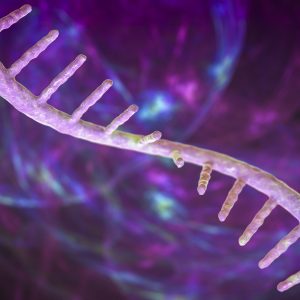 digital illustration of single strand of RNA